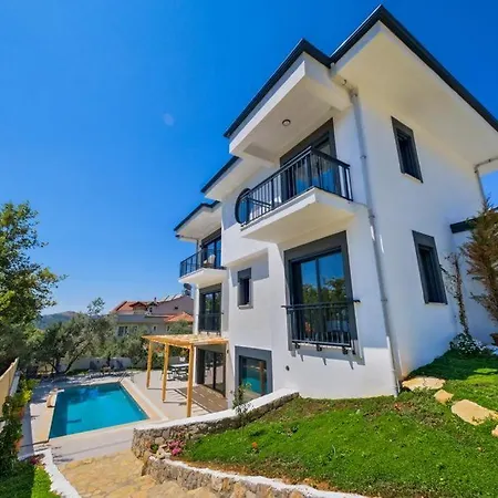 Arici Evi Delux Luxury With Indoor And Outdoor Pool Villa Fethiye