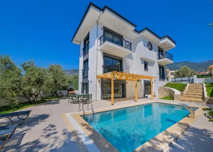 Villa Arici Evi Delux Luxury With Indoor And Outdoor Pool Fethiye