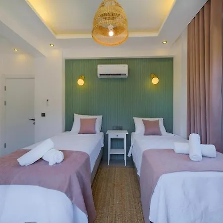 别墅 Arici Evi Delux Luxury With Indoor And Outdoor Pool 费特希耶