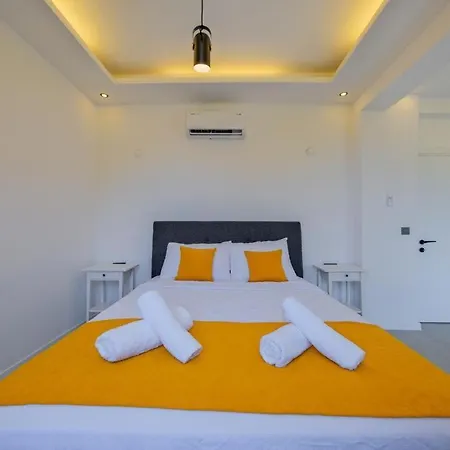 Arici Evi Delux Luxury With Indoor And Outdoor Pool Villa Fethiye