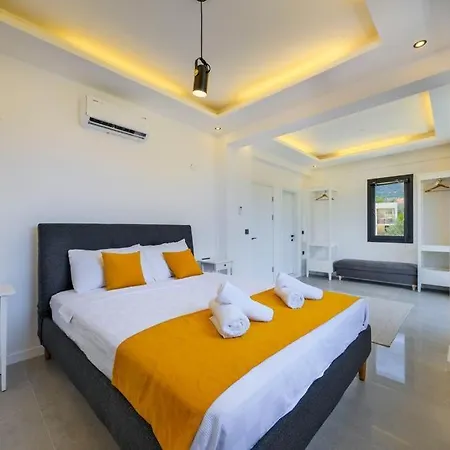 别墅 Arici Evi Delux Luxury With Indoor And Outdoor Pool 费特希耶