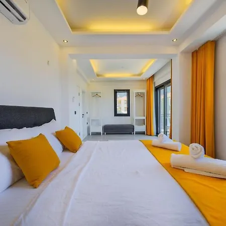 Arici Evi Delux Luxury With Indoor And Outdoor Pool * フェティエ