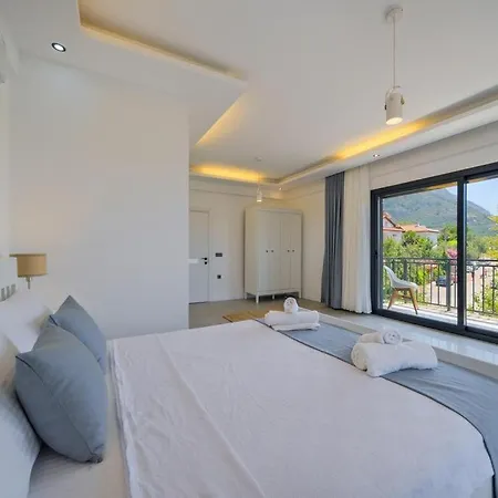 Arici Evi Delux Luxury With Indoor And Outdoor Pool 别墅