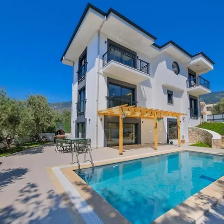 别墅 Arici Evi Delux Luxury With Indoor And Outdoor Pool 费特希耶