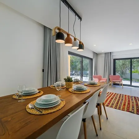 别墅 Arici Evi Delux Luxury With Indoor And Outdoor Pool 费特希耶