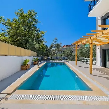 Arici Evi Delux Luxury With Indoor And Outdoor Pool フェティエ