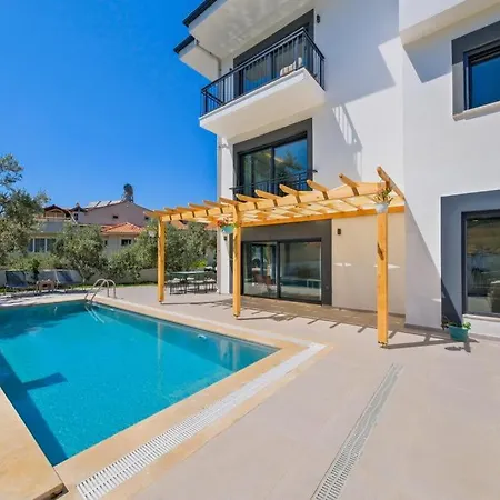 Arici Evi Delux Luxury With Indoor And Outdoor Pool * 费特希耶