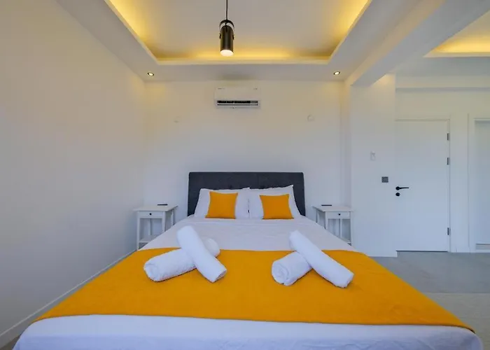 Arici Evi Delux Luxury With Indoor And Outdoor Pool 别墅 费特希耶