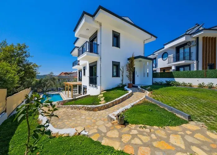 Arici Evi Delux Luxury With Indoor And Outdoor Pool 费特希耶