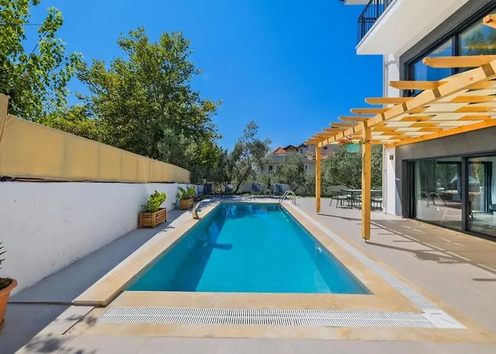 Arici Evi Delux Luxury With Indoor And Outdoor Pool 费特希耶