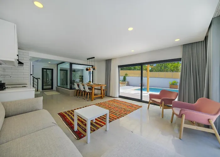 别墅 Arici Evi Delux Luxury With Indoor And Outdoor Pool 费特希耶