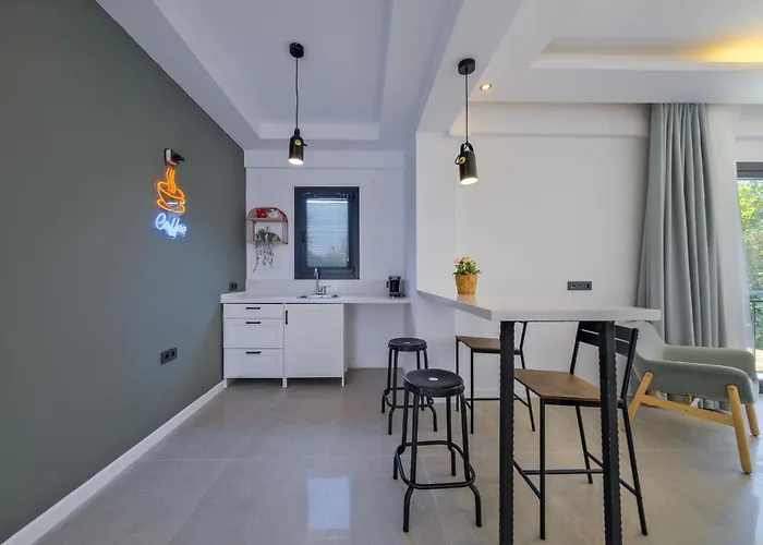 Arici Evi Delux Luxury With Indoor And Outdoor Pool 费特希耶