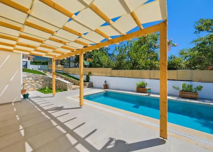 Arici Evi Delux Luxury With Indoor And Outdoor Pool *